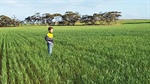 Price slashed on large-scale organic farm in the Murray Mallee