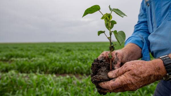 Carbon choices: new report proves it's not 'all-or-nothing' for farmers