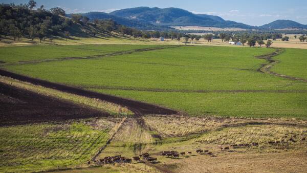 Premium Liverpool Plains property offers versatile farming, grazing | Video