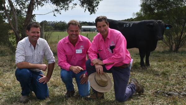 The world rankings are in: here's the top Angus sires in Australia right now